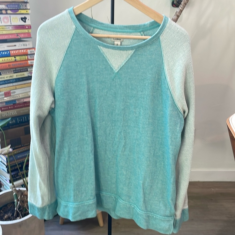 Crew neck sweatshirt teal and light teal raglan sleeve pattern
